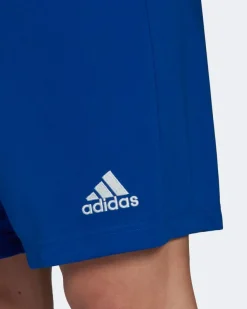 ADIDAS-SHORT ENTRADA 22-HG6294