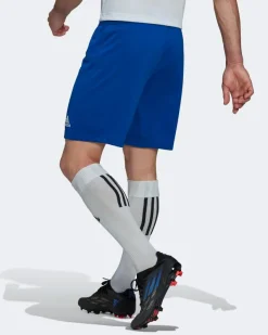 ADIDAS-SHORT ENTRADA 22-HG6294