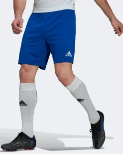 ADIDAS-SHORT ENTRADA 22-HG6294