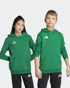 SWEAT C/CAPP.ENT26 HOODY JR GREEN